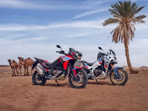 451586-24ym-crf1100l-africa-twin-adventure-sports.webp