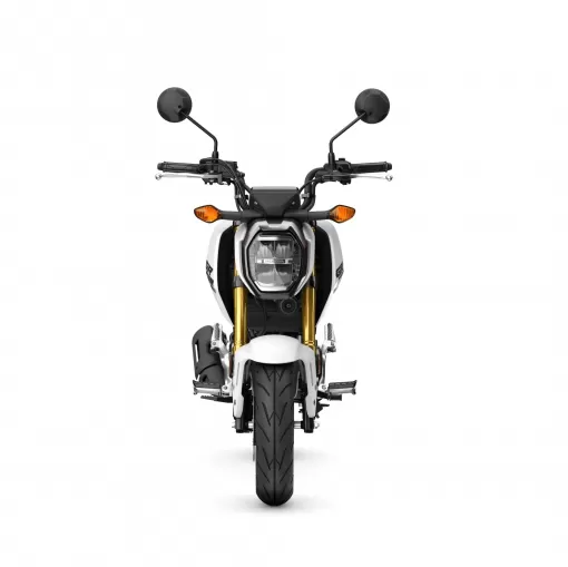 482363-25ym-honda-msx125-grom.jpg