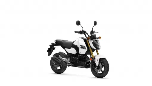 482405-25ym-honda-msx125-grom.jpg